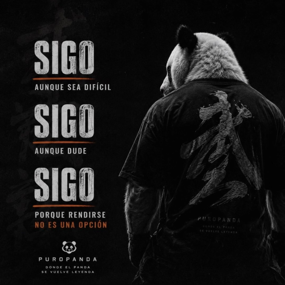 Panda de espaldas con camiseta negra: Sigo aunque sea difícil, sigo aunque dude, sigo porque rendirse no es una opción